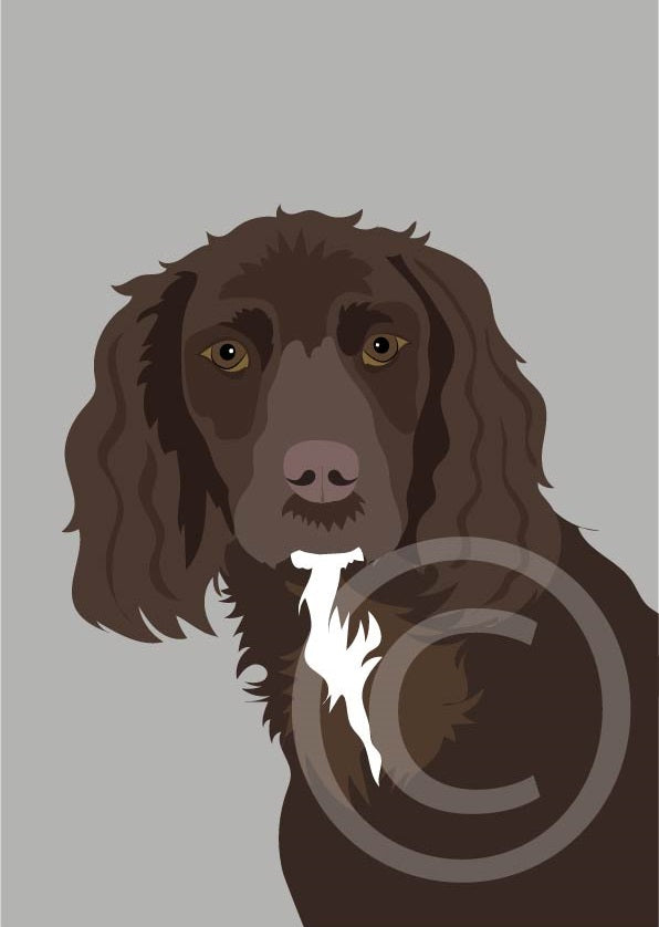 Working Cocker Spaniel – Cornishbirdinthesticks