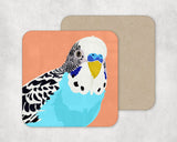 Budgie