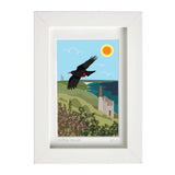 Clifftop Chough
