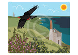 Clifftop Chough