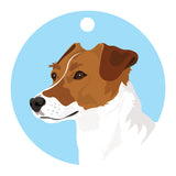 Jack Russell 7