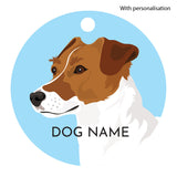 Jack Russell 7