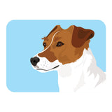 Jack Russell 7