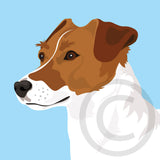 Jack Russell 7