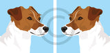 Jack Russell 7