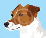 Jack Russell 7