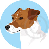 Jack Russell 7