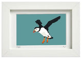 Puffin (flying)
