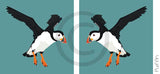 Puffin (flying)