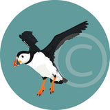 Puffin (flying)