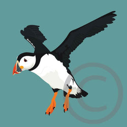 Puffin (flying)