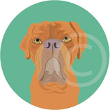 Dogue de Bordeaux