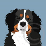 Bernese Mountain Dog