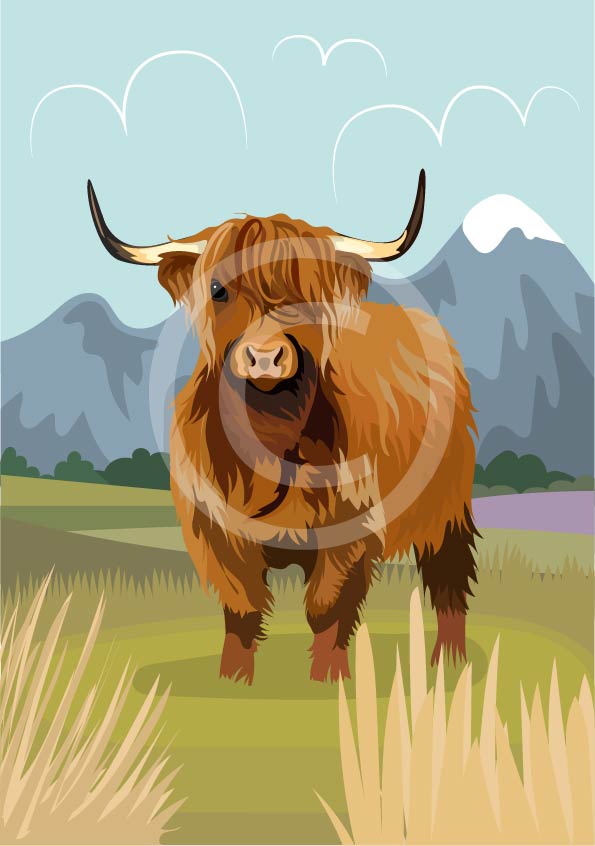 Heilan Coo (Highland Cow) – Cornishbirdinthesticks