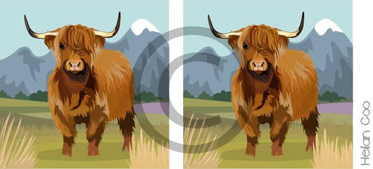 Heilan Coo (Highland Cow) – Cornishbirdinthesticks