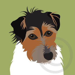 Jack Russell 2