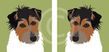 Jack Russell 2