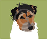 Jack Russell 2