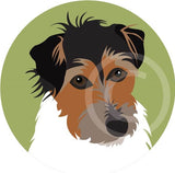 Jack Russell 2