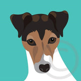 Jack Russell 4