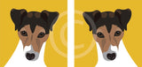 Jack Russell 5