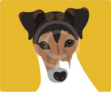 Jack Russell 5