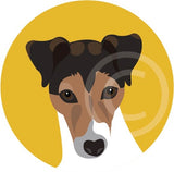 Jack Russell 5
