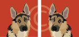 Alsatian