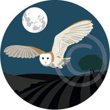 Barn Owl