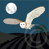 Barn Owl