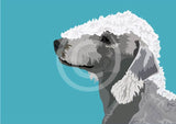 Bedlington Terrier