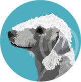 Bedlington Terrier