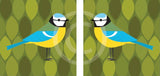 Blue Tit