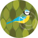 Blue Tit