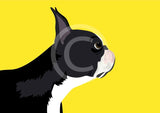 Boston Terrier