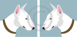 English Bull Terrier