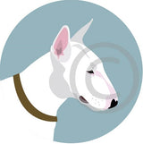 English Bull Terrier