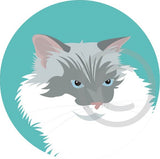 Cat 1