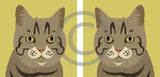 Cat 2