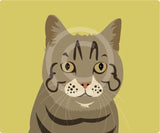Cat 2