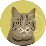 Cat 2