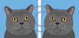Herbie the Cat 4