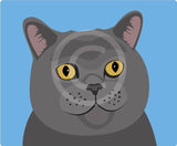 Herbie the Cat 4
