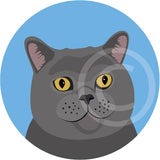 Herbie the Cat 4