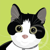 Ratty the Cat 5