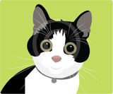 Ratty the Cat 5