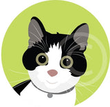Ratty the Cat 5