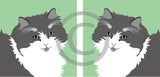 Cat 6