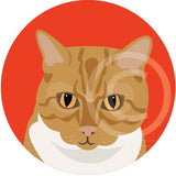 Jenny the Ginger Cat 7