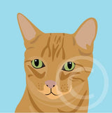 Teddy the Ginger Cat 9
